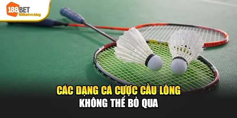 cac-dang-ca-cuoc-cau-long-khong-the-bo-qua