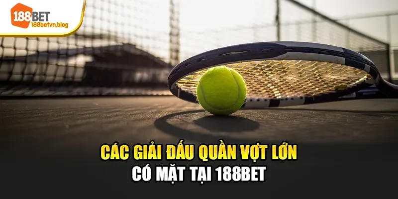 cac-giai-dau-quan-vot-lon-co-mat-tai-188bet