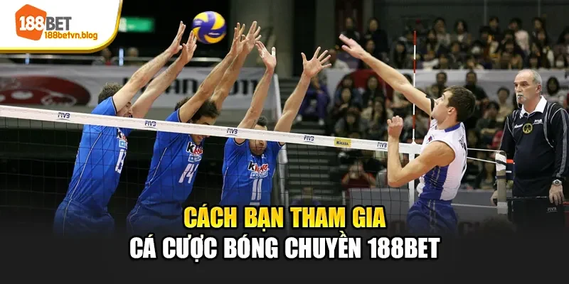 cach-ban-tham-gia-ca-cuoc-bong-chuyen-188bet