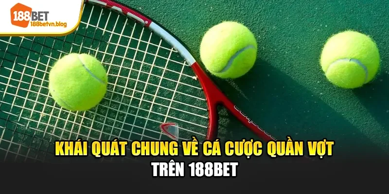 khai-quat-chung-ve-ca-cuoc-quan-vot-tren-188bet