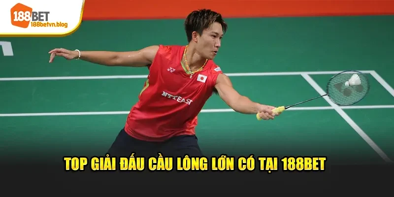 top-giai-dau-cau-long-lon-co-tai-188bet